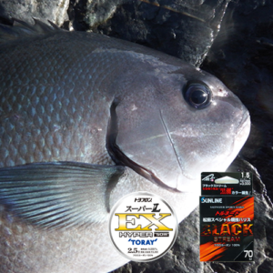 磯釣りの疑問 高いハリスと安いハリス 違いを教えて 釣り情報サイト ルアー 堤防釣り 仕掛け 釣り方