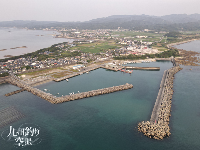 富岡西港 天草郡苓北町 ミズイカの激熱ポイント エギングでも泳がせ釣りでもok 釣り情報サイト ルアー 堤防釣り 仕掛け 釣り方