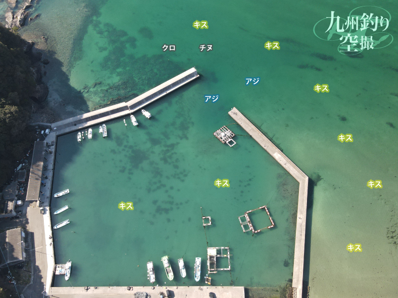 須美江港 キャンプと釣りをエンジョイ 宮崎県延岡市 釣り情報サイト ルアー 堤防釣り 仕掛け 釣り方